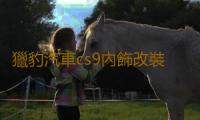 獵豹汽車cs9內飾改裝cs10裝飾專用配件中控儀表台避光墊車內用品