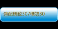 適配標致307標誌308鼓風機總成雪鐵龍世嘉凱旋汽車空調暖風機配件