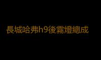 長城哈弗h9後霧燈總成 哈佛H9 後保險杠燈 後左右尾燈汽車配件