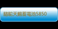 駱駝天鵝蓄電池58500免維護12V48AH五菱之光榮光原裝汽車電瓶