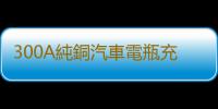 300A純銅汽車電瓶充電器大功率貨車叉車充電機6v12v24v智能通用